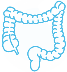 Colonoscopy colonoscopy