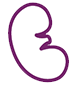 Renal risn factors Renal risn factors