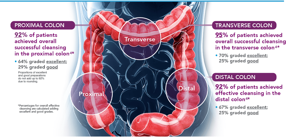 Proximal colon,  Transverse colon and Distal Colon
