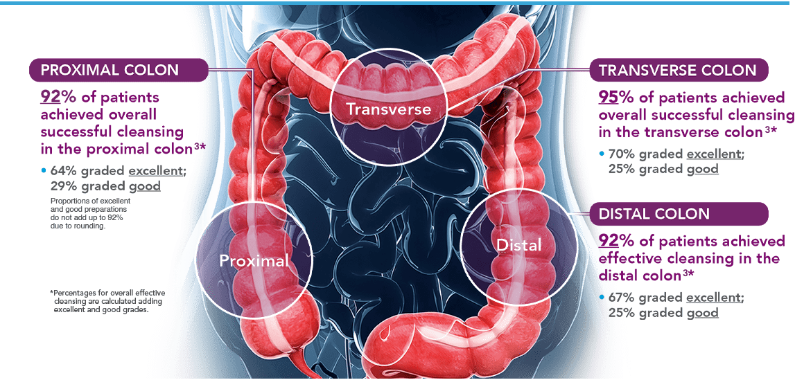 Proximal colon,  Transverse colon and Distal Colon